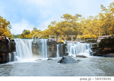 Tat Ton waterfall in Tat-Ton national park in Tat Ton waterfall in Tat-Ton national park in 56459040