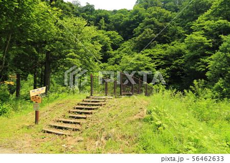 刈込池へ   【福井県大野市 ・ 白山国立公園】 56462633