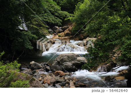 刈込池へ   【福井県大野市 ・ 白山国立公園】 56462640