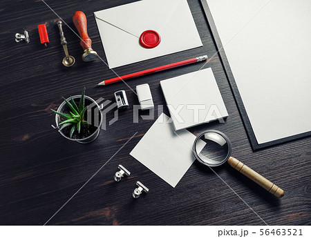 Blank branding identity Blank branding identity 56463521