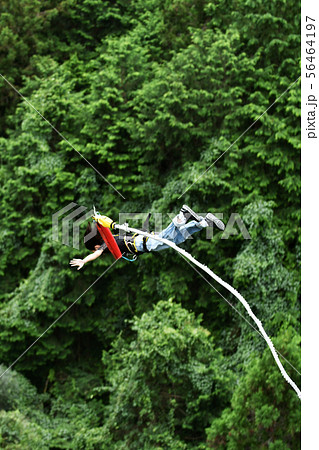 バンジージャンプをする女性 56464197