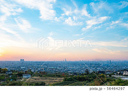 大阪南部　都市風景 56464297
