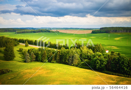 Summer rural landscape Summer rural landscape 56464416