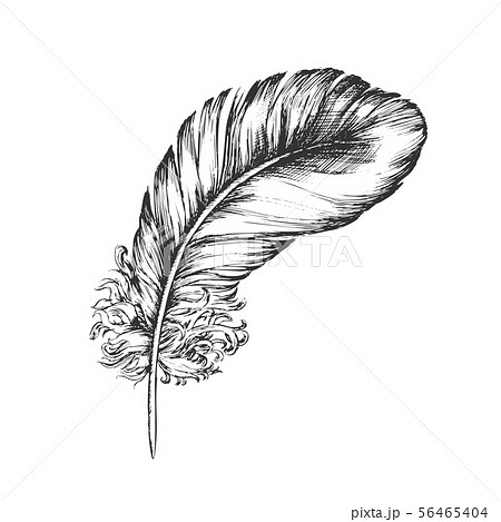 Decorative Bird Flying Element Feather Ink Vectorのイラスト素材 Decorative Bird Flying Element Feather Ink Vectorのイラスト素材