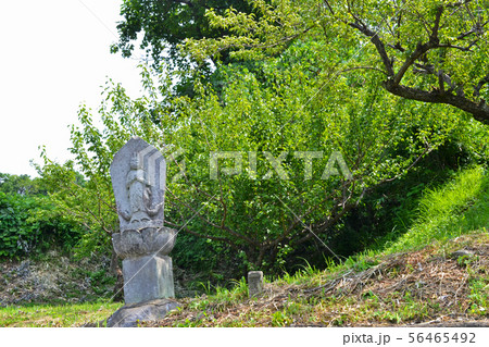 中山道沿いにある石仏　旧道散策 56465492