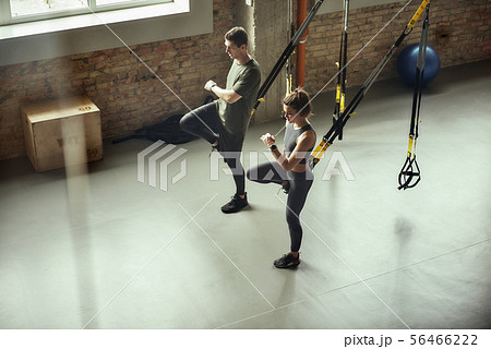 Exercising together. Young active couple in sportswear training legs with Trx fitness straps at gym. Exercising together. Young active couple in sportswear training legs with Trx fitness straps at gym. 56466222
