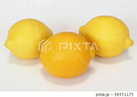 レモン レモン 56471175