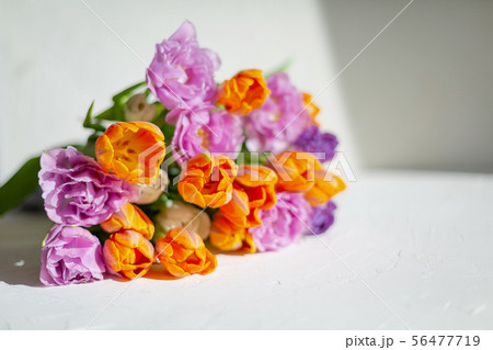 Bouquete of colorful spring tulips in a sunny day Bouquete of colorful spring tulips in a sunny day 56477719