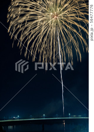 雄物川の花火 56477776