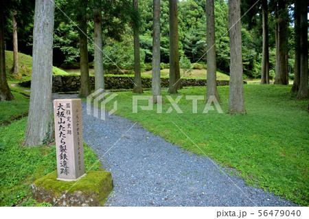 山口・萩・大板山たたら製鉄遺跡・発掘跡への通路を進む（１） 56479040
