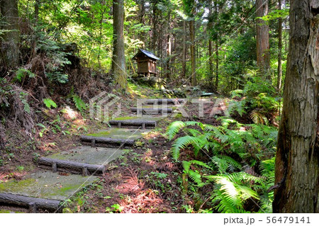 山口・萩・大板山たたら製鉄遺跡・製鉄の神として祀られていた「金屋子神祠」（１） 56479141