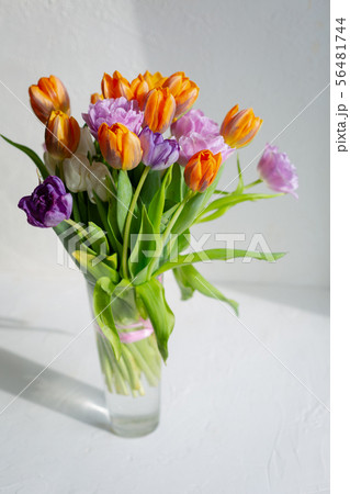 Bouquete of colorful spring tulips in a sunny day Bouquete of colorful spring tulips in a sunny day 56481744