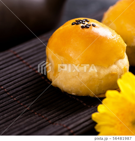 月 ルナ お月様 56481987