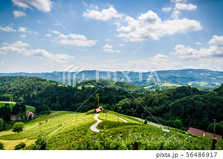 Famous Heart shaped wine road in Austria 56486917
