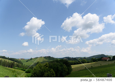 Austria, Slovenia Vineyards Sulztal Herzerl Strase 56487400