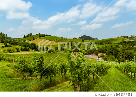 Austria Vineyards vine street south Styria travel 56487401