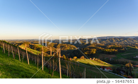 View over the the vineyards an the foggy valleys 56487651
