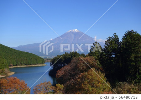 富士山 田貫湖 逆さ富士 青空 湖面 絶景 富士山 田貫湖 逆さ富士 青空 湖面 絶景 56490718