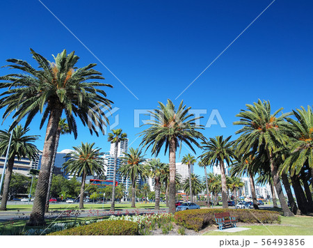 オーストラリア・パース 「リバーサイドドライブ」 / Riverside Dr. Perth. AU オーストラリア・パース 「リバーサイドドライブ」 / Riverside Dr. Perth. AU 56493856