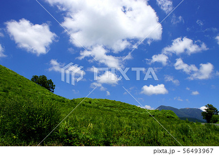 阿蘇　産山村の扇棚田　新緑の田園風景 56493967