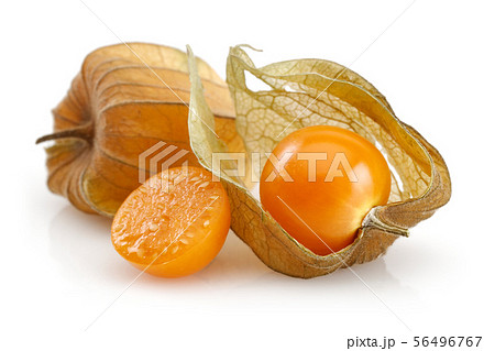 Physalis fruit or winter cherry isolated on white 56496767