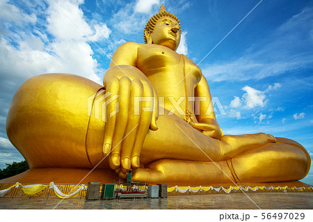 Golden buddha statue Luang Phor Yai Wat Muang Ang Golden buddha statue Luang Phor Yai Wat Muang Ang 56497029