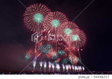 うつのみや花火大会2019 うつのみや花火大会2019 56498257