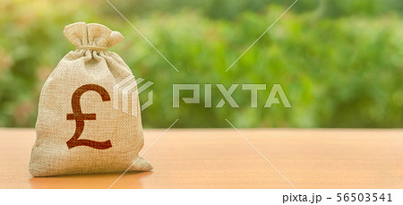 Money bag with pound sterling symbol 56503541