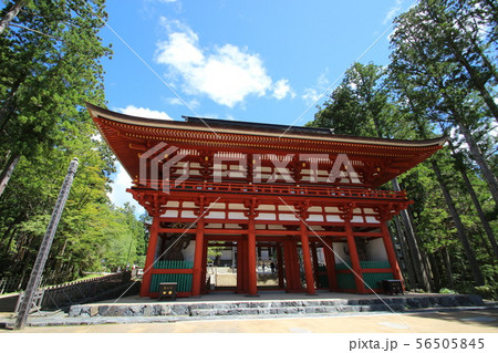 高野山壇上伽藍 高野山壇上伽藍 56505845