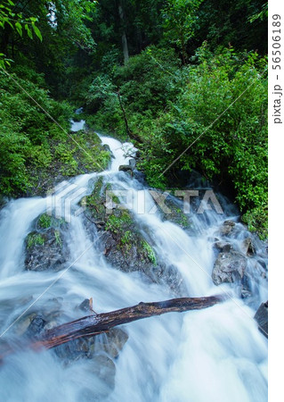 無名の滝　和歌山県伊都郡かつらぎ町 56506189