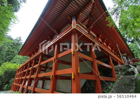 比叡山延暦寺 56510464