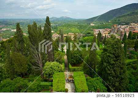 建築 構築 アーキテクチャ 56510925