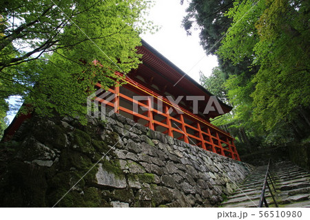 比叡山延暦寺 比叡山延暦寺 56510980
