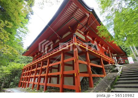 比叡山延暦寺 56510982