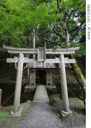 比叡山延暦寺 56510986