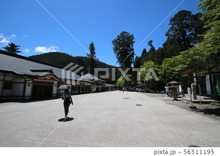 比叡山延暦寺 56511195