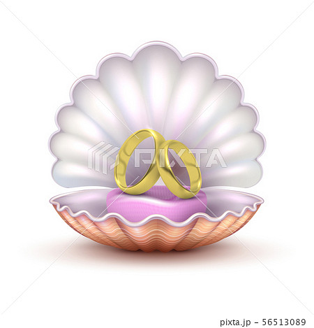 Reaistic Golden Wedding Rings In Seashell のイラスト素材