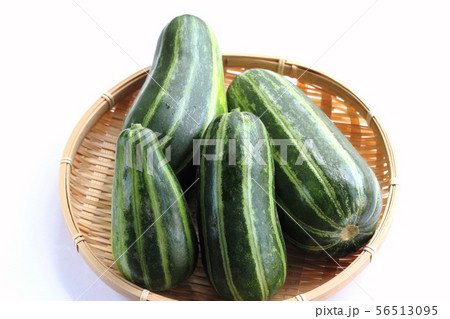 本しま瓜 56513095