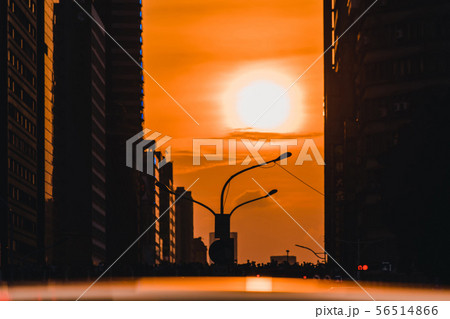taipeihenge, taipei, taiwan, sunset, 懸日, 夕陽, 日落,台北 taipeihenge, taipei, taiwan, sunset, 懸日, 夕陽, 日落,台北 56514866