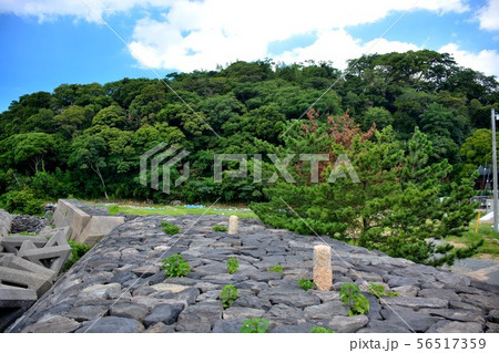 山口・萩・恵美須ヶ鼻造船所跡・世界遺産・明治日本の産業革命遺産・造船所を象徴する石組みの防波堤(5) 山口・萩・恵美須ヶ鼻造船所跡・世界遺産・明治日本の産業革命遺産・造船所を象徴する石組みの防波堤(5) 56517359