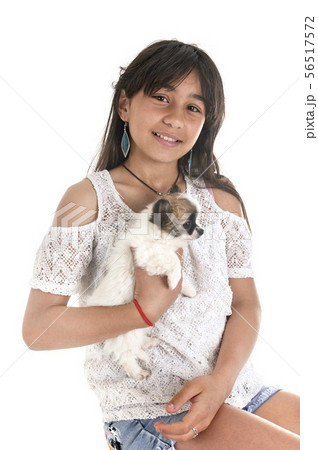chihuahua and teenager 56517572