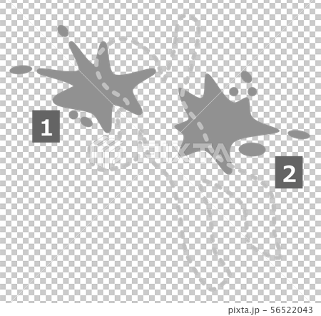 殺人 殺人 56522043