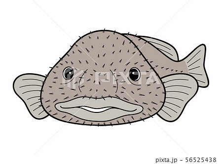 ブロブフィッシュ ニュウドウカジカ 深海魚 キャラクター ベクターイラストのイラスト素材