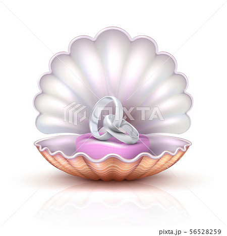 Marriage rings on realistic seashell, vector luxury silver wedding Marriage rings on realistic seashell, vector luxury silver wedding 56528259