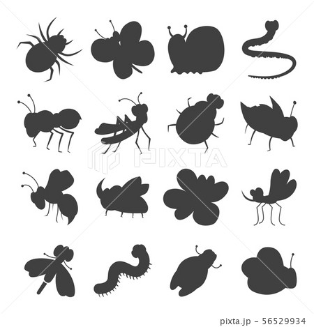 Grey insect silhouette icons Grey insect silhouette icons 56529934