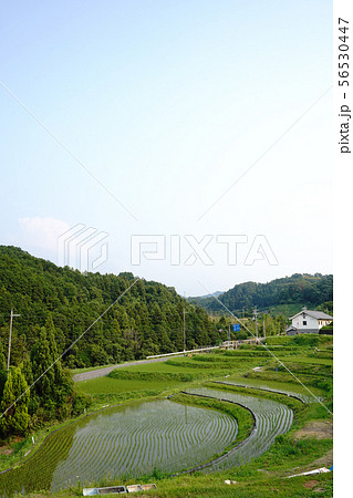 千早赤坂村の風景 56530447