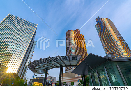 日本の川崎都市景観　夕日を浴びる武蔵小杉駅前のタワーマンション群や高層ビルなどを望む 56536739