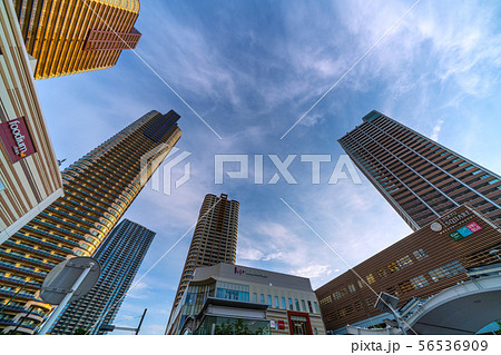 日本の川崎都市景観　夕日を浴びる武蔵小杉駅前のタワーマンション群などを望む 56536909