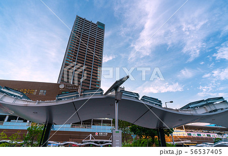 日本の川崎都市景観　武蔵小杉駅前のタワーマンションなどを望む 56537405