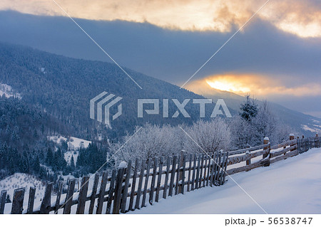 rural countryside in winter 56538747
